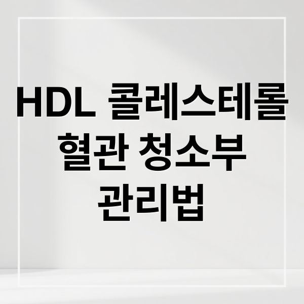 HDL 콜레스테롤
혈관 청소부
관리법 (hdl 콜레스테롤 높으면)