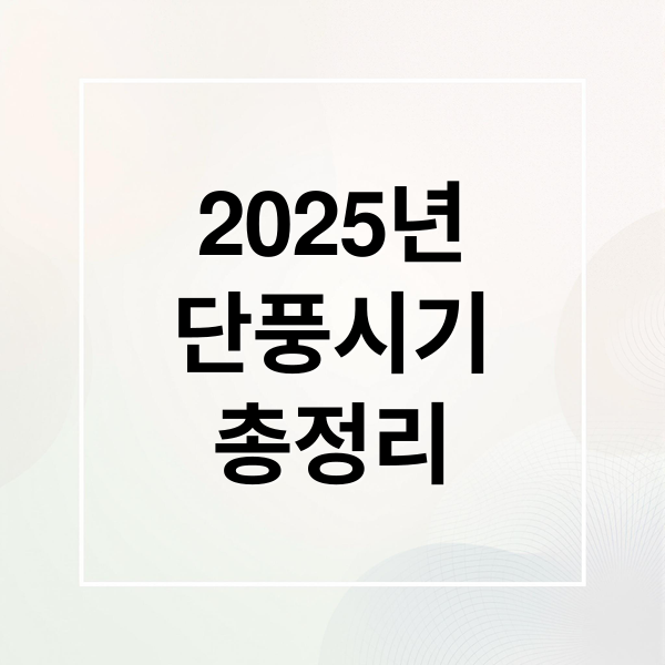 2025년
단풍시기
총정리 (2025년 단풍 절정 시기)
