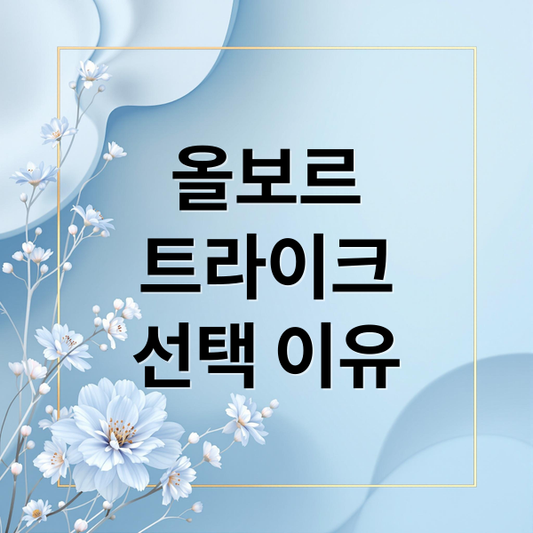 올보르 트라이크 완벽 분석 가이드 (장단점 및 선택 이유)