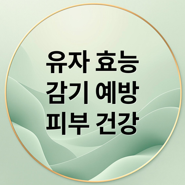 유자 효능
감기 예방
피부 건강 (유자 효능 영양성분)