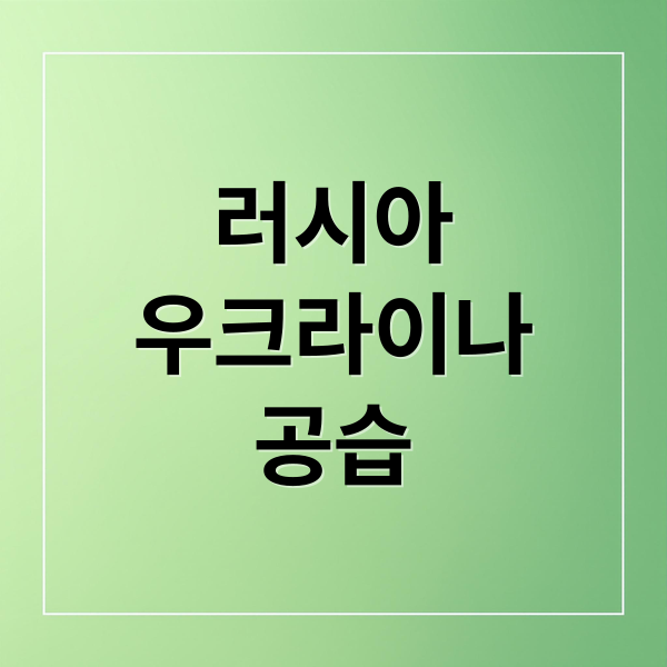 러시아
우크라이나
공습 (유엔 안보리 러시아 공습 긴급회의)
