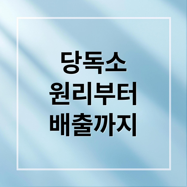 당독소
원리부터
배출까지 (당독소 배출 장내 독소 커피)
