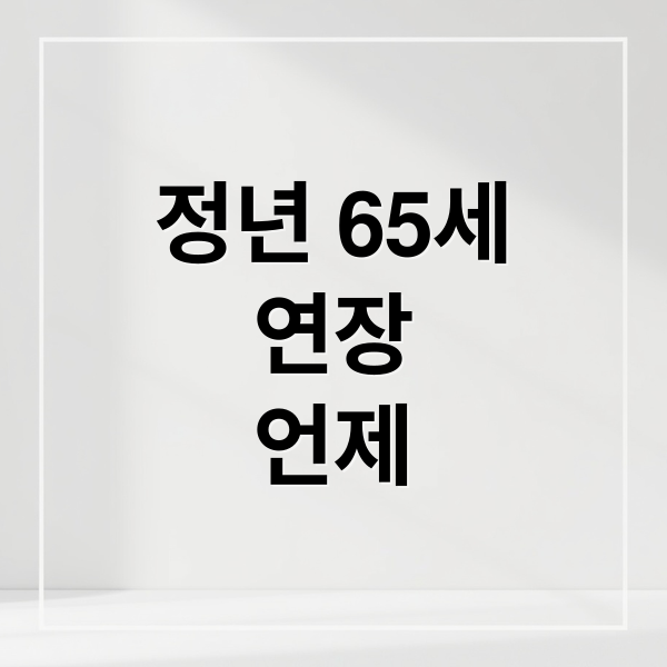 정년 65세
연장
언제 (정년연장 65세 시행시기 및 주요 쟁점)
