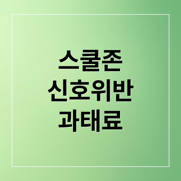 스쿨존
신호위반
과태료 (신호위반 과태료 벌점 스쿨존)