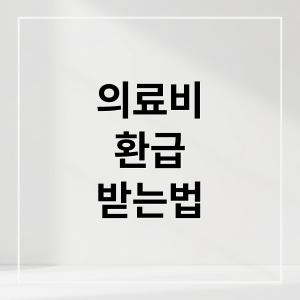 의료비
환급
받는법 (의료비 환급)