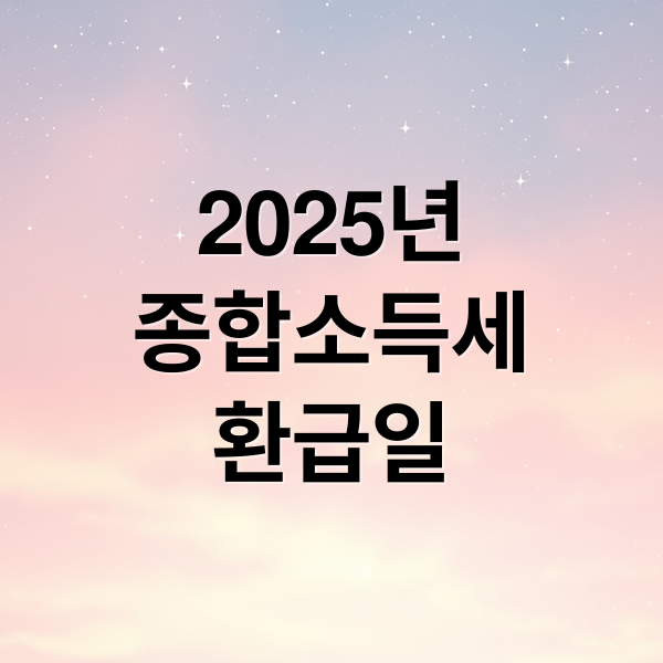 2025년
종합소득세
환급일 (종소세 환급일 확인)
