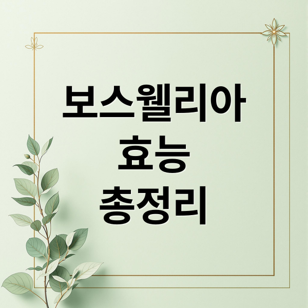 보스웰리아
효능
총정리 (보스웰리아 효능 관절염)