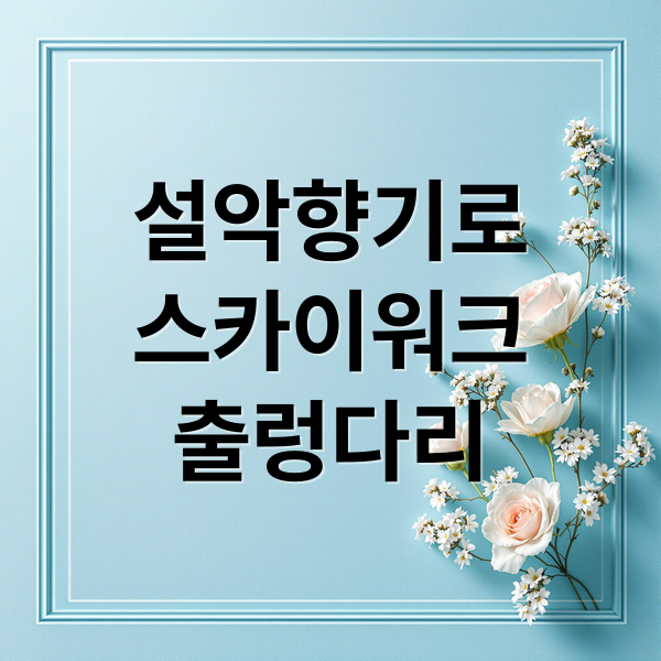 설악향기로
스카이워크
출렁다리 (속초 설악향기로 명소)