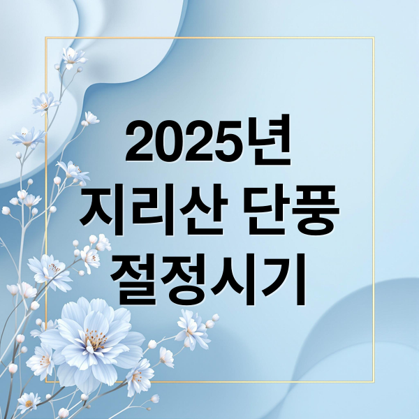 2025년
지리산 단풍
절정시기 (2025 지리산 단풍 절정 시기 확인)