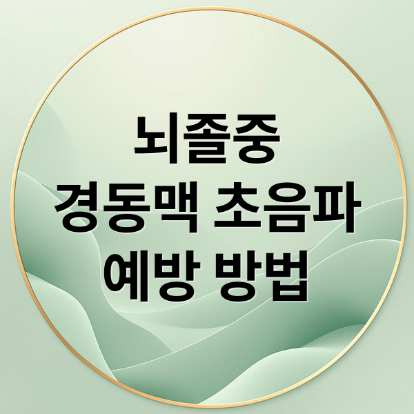 뇌졸중
경동맥 초음파
예방 방법 (경동맥 초음파 검사)