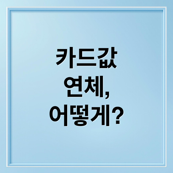 카드값
연체,
어떻게? (카드값 연체 해결)