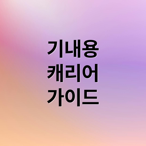 기내용
캐리어
가이드 (기내용캐리어)