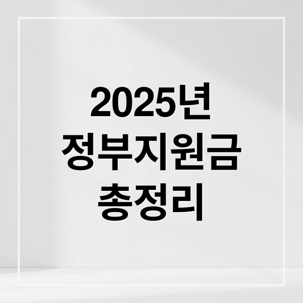 2025년
정부지원금
총정리 (2025년 정부지원금, 내가 받을 수 있는 혜택 총정리!)