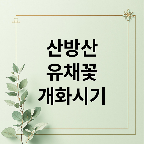 산방산
유채꽃
개화시기 (제주 산방산 유채꽃)