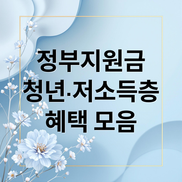 정부지원금
청년·저소득층
혜택 모음 (정부지원금)