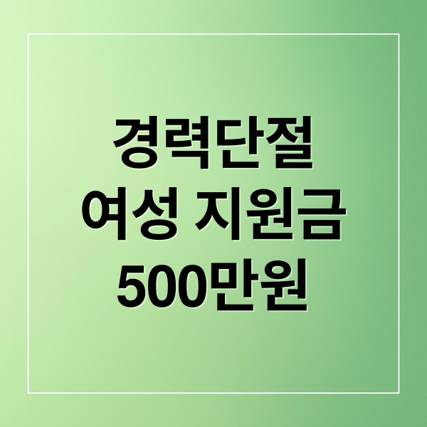 경력단절
여성 지원금
500만원 (경력단절여성 지원금 자격요건)
