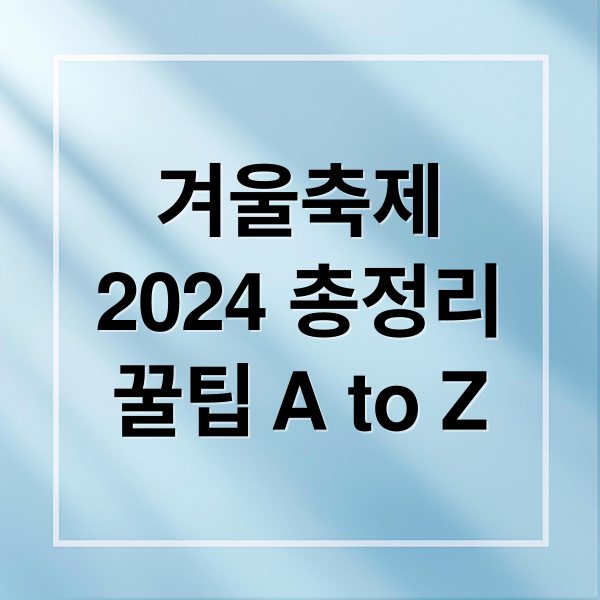 겨울축제
2024 총정리
꿀팁 A to Z (겨울 축제)