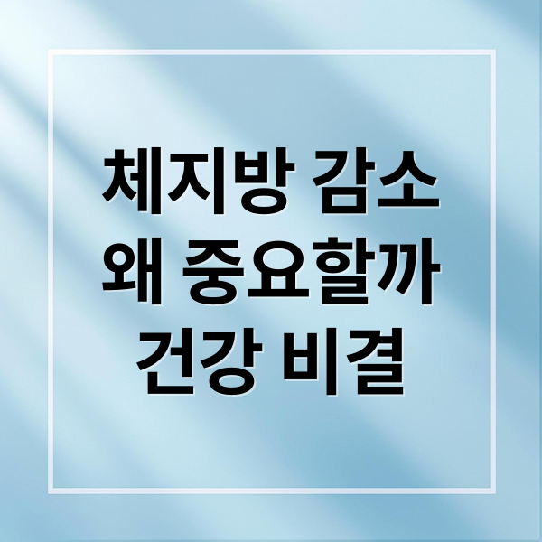 체지방 감소
왜 중요할까
건강 비결 (체지방 감소 식단 운동)