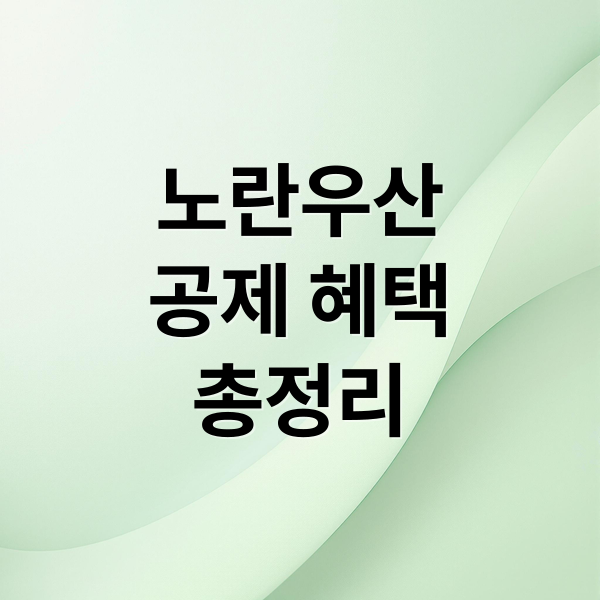 노란우산
공제 혜택
총정리 (노란우산공제 가입방법 및 소득공제 혜택)