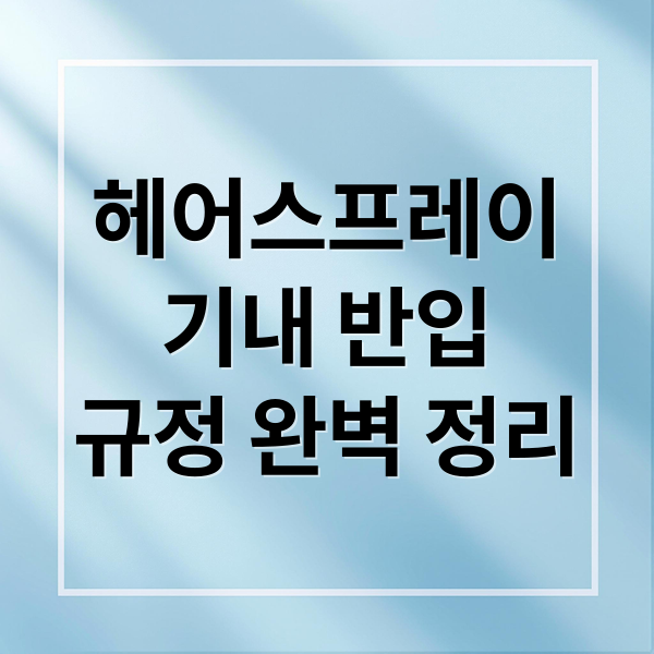 헤어스프레이기내 반입규정 완벽 정리 (비행기 헤어 스프레이 반입 규정)
