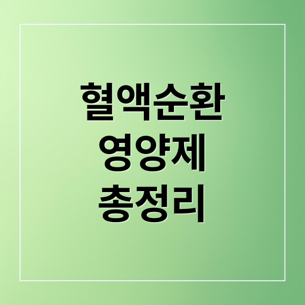 혈액순환
영양제
총정리 (혈액순환 영양제)