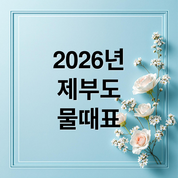2026년
제부도
물때표 (제부도 물때시간표 2026)