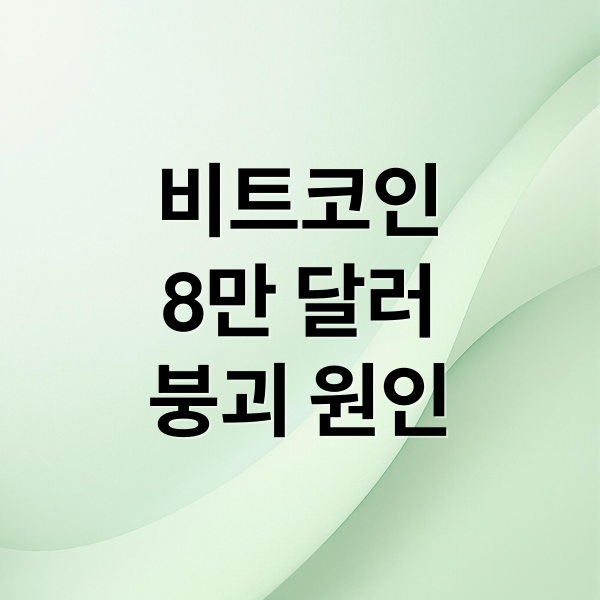 비트코인 8만 달러 붕괴! 원인과 전망 2 비트코인
8만 달러
붕괴 원인 (비트코인 8만불 붕괴 7만불 매수세)
