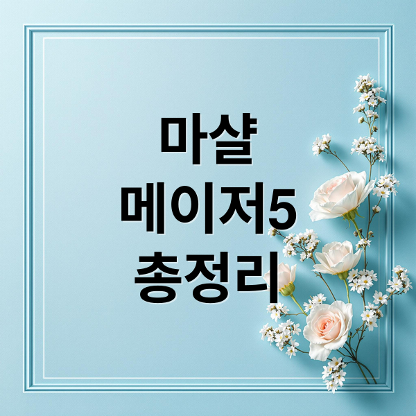 마샬
메이저5
총정리 (마샬 메이저5 블루투스 헤드폰)