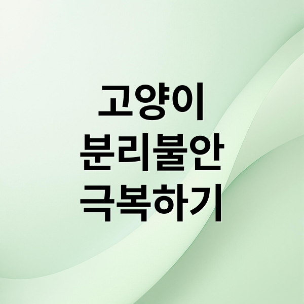 고양이
분리불안
극복하기 (고양이 분리불안 증상)