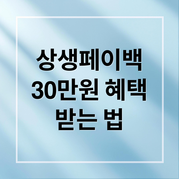 상생페이백
30만원 혜택
받는 법 (상생페이백홈페이지)