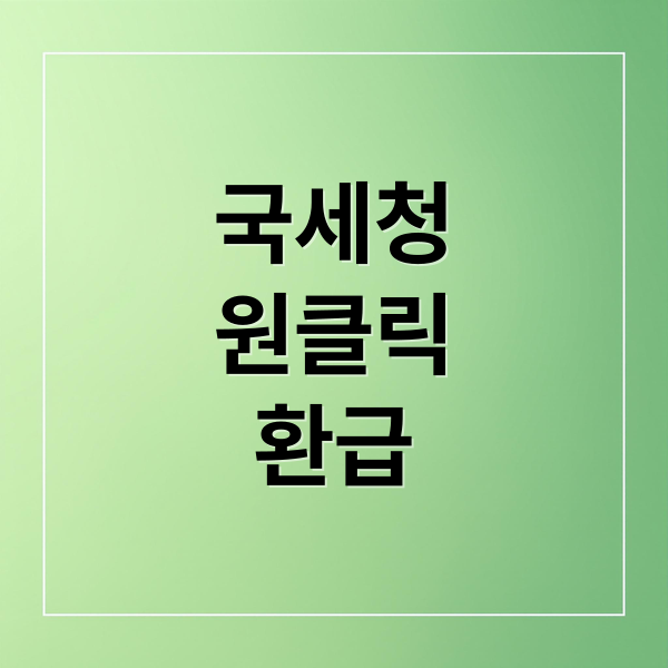 국세청
원클릭
환급 (국세청 원클릭 환급서비스)