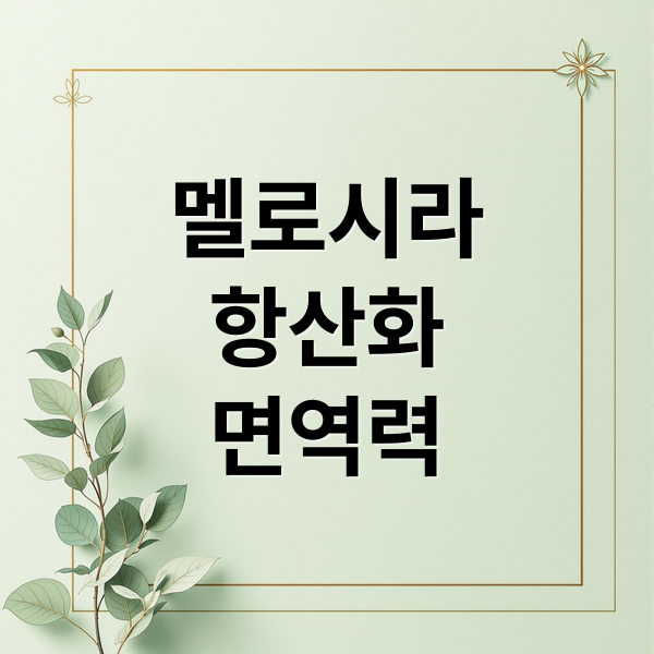 멜로시라
항산화
면역력 (멜로시라 효능 효과)