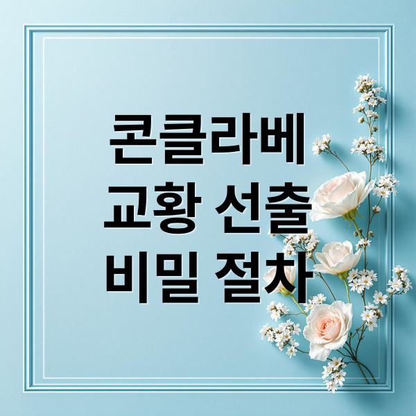 콘클라베
교황 선출
비밀 절차 (교황 선출 콘클라베 절차)