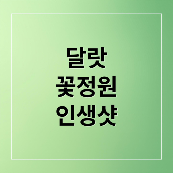달랏
꽃정원
인생샷 (달랏 꽃정원 인생샷 투어)