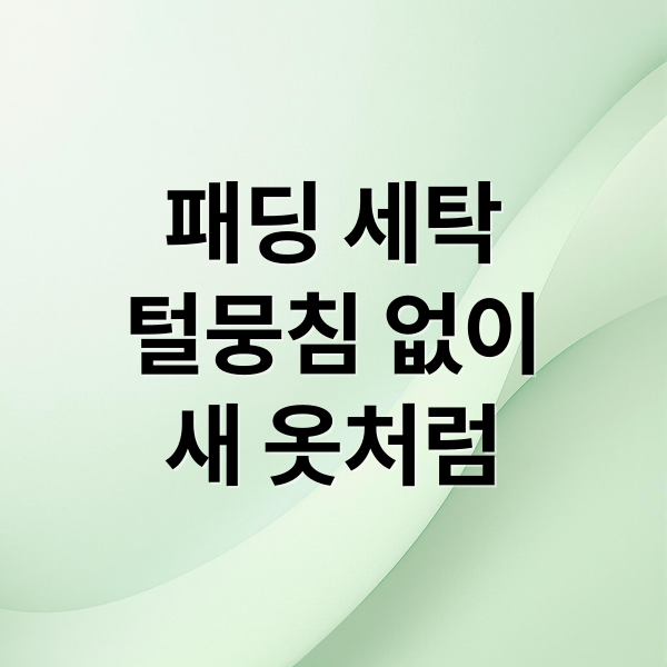 패딩 세탁
털뭉침 없이
새 옷처럼 (패딩 세탁법 보관법)