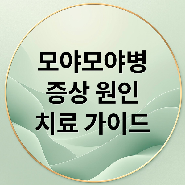 모야모야병
증상 원인
치료 가이드 (모야모야병 증상 원인 치료)