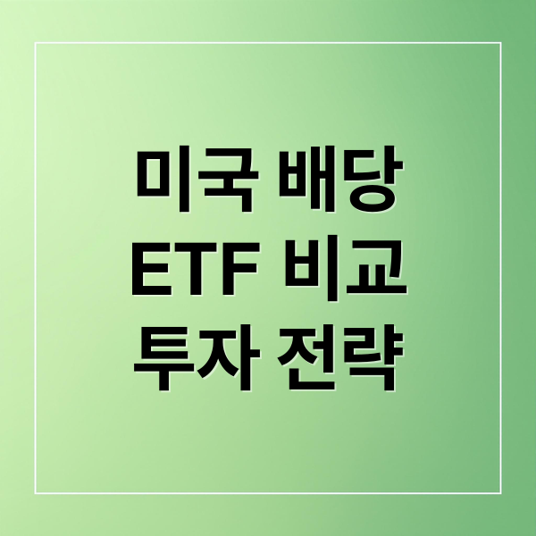 미국 배당
ETF 비교
투자 전략 (미국 배당 ETF)