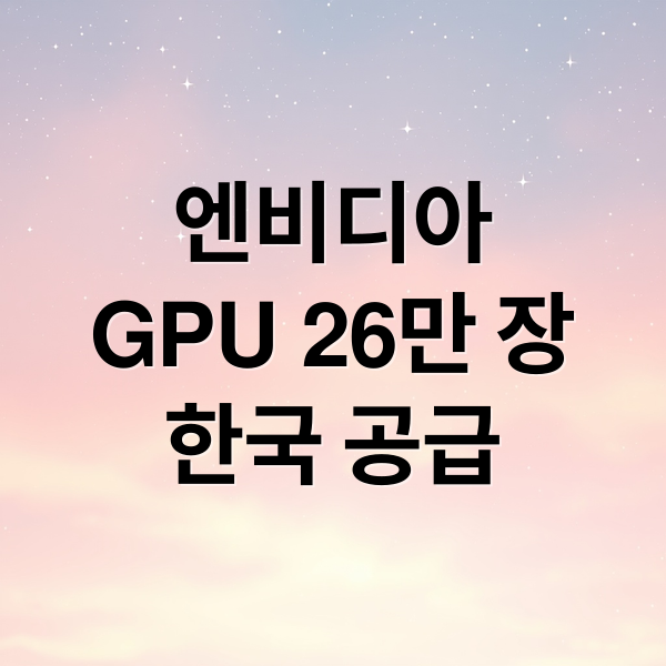 엔비디아
GPU 26만 장
한국 공급 (젠슨 황 GPU 26만장)