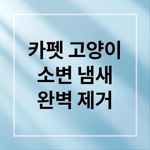 카펫 고양이
소변 냄새
완벽 제거 (고양이 소변 냄새 카펫 제거)