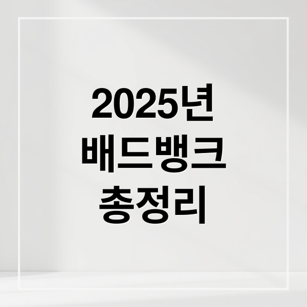 2025년 배드뱅크 총정리