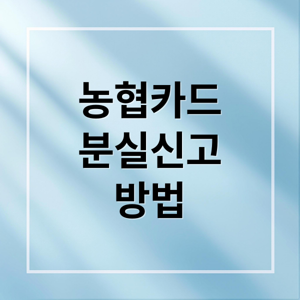 농협카드
분실신고
방법 (농협카드 분실신고 전화번호)