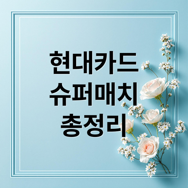 현대카드
슈퍼매치
총정리 (현대카드 슈퍼매치 10% 할인)