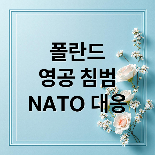 폴란드
영공 침범
NATO 대응 (충격받은 유럽”.. 폴란드 침공한 러시아, 한국산 무기에 초토화)