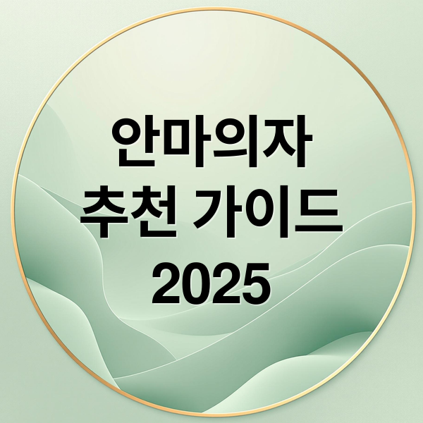 안마의자
추천 가이드
2025 (안마 의자)