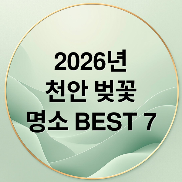 2026년
천안 벚꽃
명소 BEST 7 (천안 벚꽃 명소 2026)