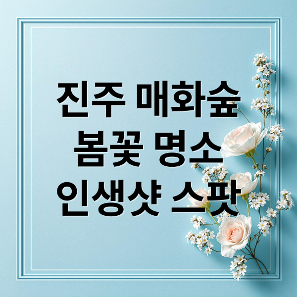 진주 매화숲
봄꽃 명소
인생샷 스팟 (진주 매화숲 명소)