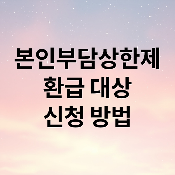 본인부담상한제
환급 대상
신청 방법 (본인부담상한제 환급 신청 방법)