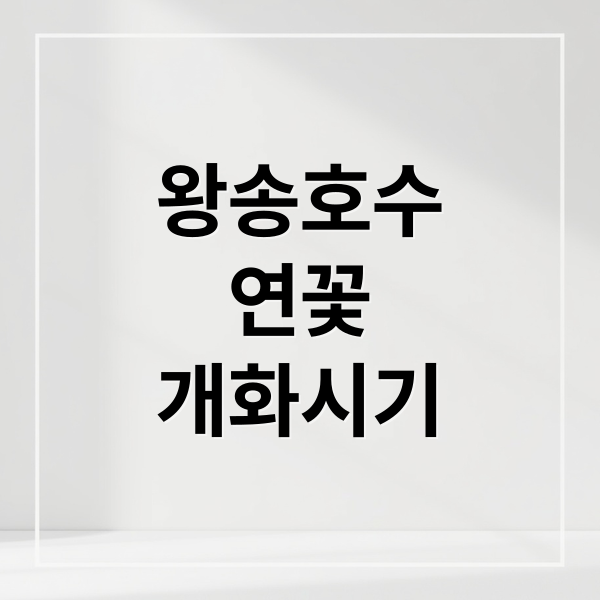 왕송호수
연꽃
개화시기 (의왕 왕송호수 연꽃)