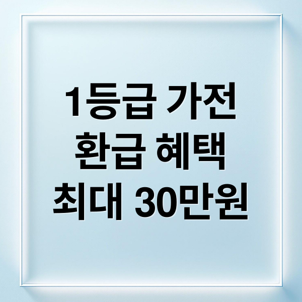 1등급 가전
환급 혜택
최대 30만원 (1등급 가전 제품 환급 신청)