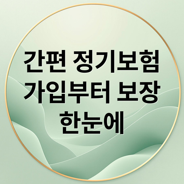간편 정기보험
가입부터 보장
한눈에 (간편 정기보험 유병자 고령자)